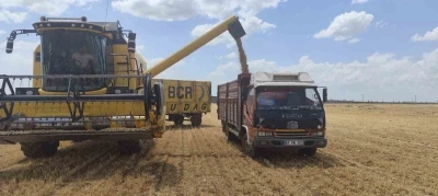 Mardin&rsquo;de yılın ilk buğdayı tonu 17 bin liradan satıldı
