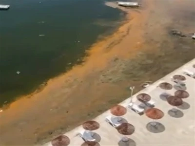 Marmara'da g&ouml;r&uuml;len aşırı alg patlamaları m&uuml;silajın habercisi