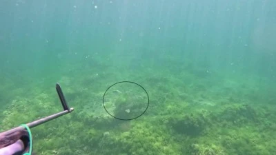 Marmara Denizi&rsquo;nde bir ilk