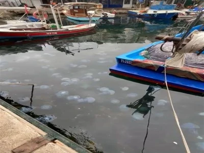 Marmara Denizi'nde tehlike artıyor!