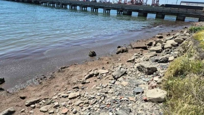 Marmara Denizi&rsquo;nin Tekirdağ kıyılarında kızıl yosun birikintisi oluştu
