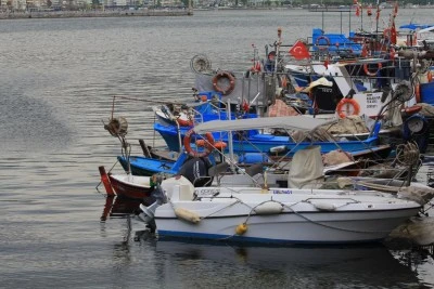 Marmara'nın k&uuml;&ccedil;&uuml;k balık&ccedil;ılarına "m&uuml;silaj" desteği geliyor