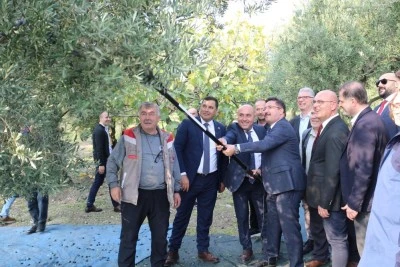 Marmarabirlik'ten 70 bin tonluk alım ve 50 milyon dolarlık ihracat hedefi