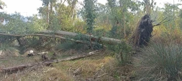 Marmaris Belediyesi&rsquo;nden &ldquo;Hisar&ouml;n&uuml; Piknik Alanı projesi&rdquo; a&ccedil;ıklaması
