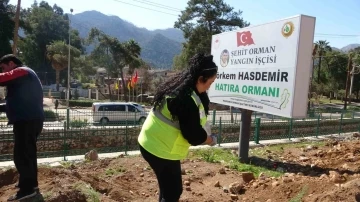 Marmaris&rsquo;te binlerce fidan toprakla buluştu
