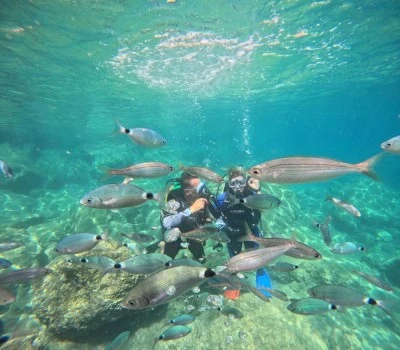 Marmaris'te dalış turizmine yoğun ilgi