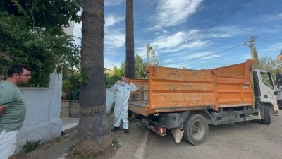 Marmaris&rsquo;teki &ccedil;&ouml;p evden bir kamyon &ccedil;&ouml;p ve 30&rsquo;a yakın kedi &ccedil;ıktı