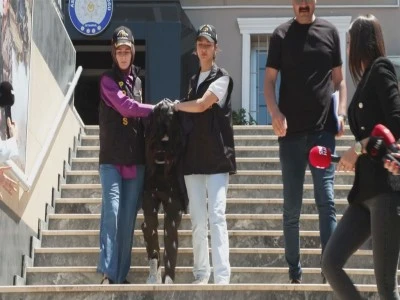 Matematik m&uuml;hendisi gen&ccedil; kadın arkadaşını defalarca bı&ccedil;aklayarak &ouml;ld&uuml;rd&uuml;