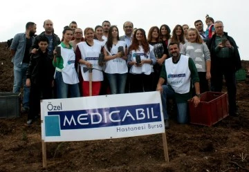 Medicabil'in diktiği fidanlar ormana d&ouml;n&uuml;şt&uuml;