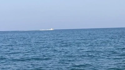 Mersin'de k&ouml;pekbalığı tedirginliği