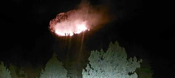 Mersin&rsquo;de orman yangını
