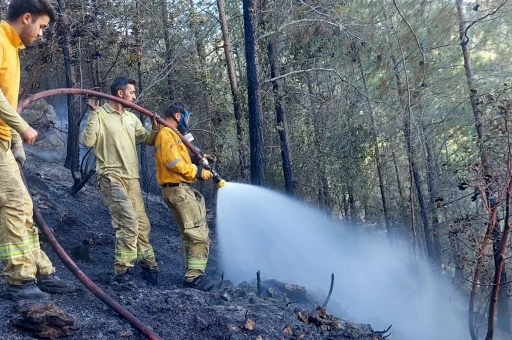 Mersin&rsquo;de orman yangını havadan ve karadan m&uuml;dahaleyle s&ouml;nd&uuml;r&uuml;ld&uuml;
