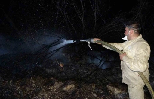 Mersin&rsquo;de orman yangınları: &Ccedil;ok sayıda ekip m&uuml;dahale ederek s&ouml;nd&uuml;rd&uuml;
