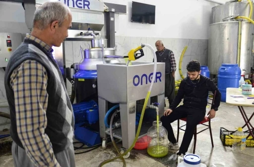 Mersin&rsquo;de &uuml;reticilerin zeytinyağı telaşı
