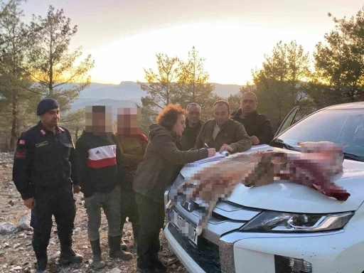 Mersin&rsquo;de yaban ke&ccedil;isi avlayan 2 şahsa 673 bin TL ceza kesildi
