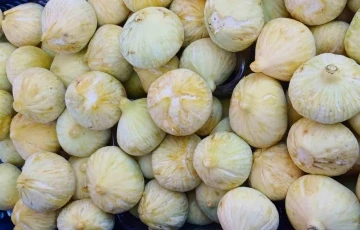 Mersin Mut&rsquo;ta incir hasadı s&uuml;r&uuml;yor: Bah&ccedil;ede 80 TL
