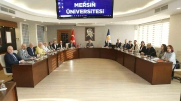 Mersin &Uuml;niversitesi&rsquo;ne Almanya&rsquo;daki &uuml;niversitelerden iş birliği ziyareti
