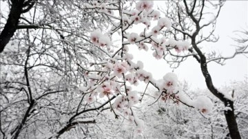 Mevsimlik tahminler "La Nina kışı geliyor" yorumlarıyla &ouml;rt&uuml;şm&uuml;yor
