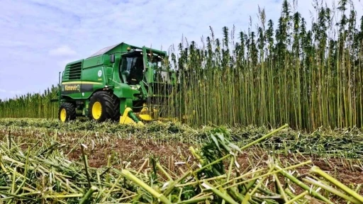 Meyve, sebze ve tarla bitkileri &uuml;retiminde &ouml;nc&uuml; şehir &lsquo;Samsun&rsquo;
