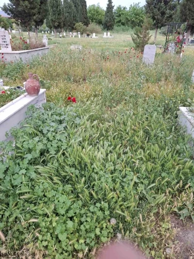 Mezarlıklar bayram &ouml;ncesi sahipsiz kaldı
