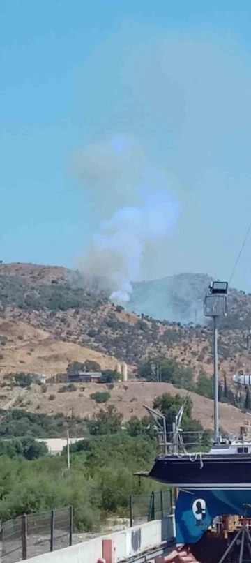 Milas &Ouml;ren&rsquo;de arazide &ccedil;ıkan yangın s&ouml;nd&uuml;r&uuml;ld&uuml;
