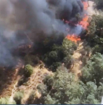 Milas&rsquo;taki orman yangını devam ediyor
