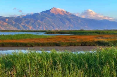 Milleyha Doğa G&ouml;zlem Merkezi &Uuml;&ccedil; G&uuml;n S&uuml;recek "Doğa Buluşması" ile Kapılarını A&ccedil;ıyor
