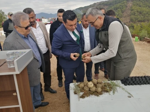 Milli Ağa&ccedil;landırma G&uuml;n&uuml;&rsquo;nde karbon zengini tohumlar toprakla buluşturuldu
