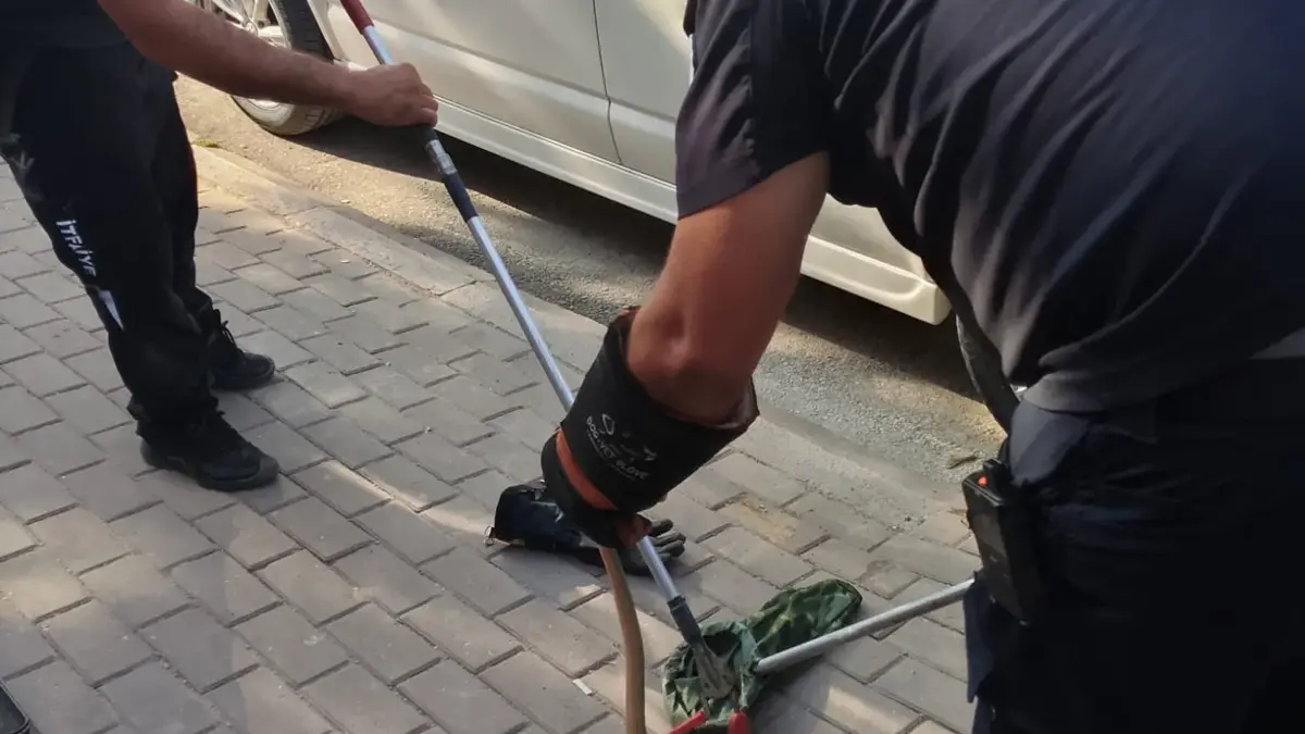 Minib&uuml;s&uuml;n motoruna giren yılanı itfaiyeciler &ccedil;ıkarıldı