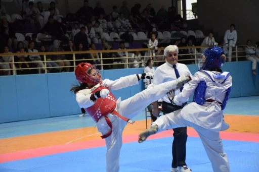 Minikler ve Yıldızlar Taekwondo Cumhuriyet Kupası M&uuml;sabakaları tamamlandı
