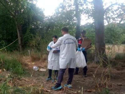 Mısır tarlasında insan kafatası ve kemikler bulundu