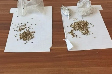 Molotofcu DGH &uuml;yesi uyuşturucuyla yakalandı
