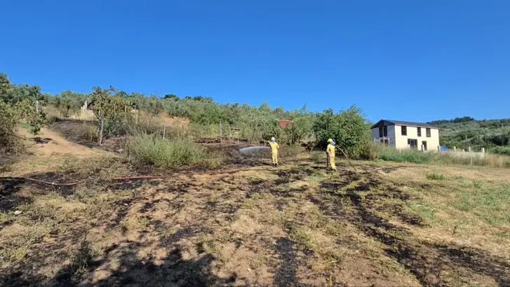 Mudanya&rsquo;da 5 d&ouml;n&uuml;m tarım arazisi yangında zarar g&ouml;rd&uuml;