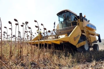 Mudanya&rsquo;da ay&ccedil;i&ccedil;eği hasadı t&ouml;renle yapıldı