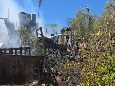 Mudanya'da bağ evi zeytin ağa&ccedil;ları yandı