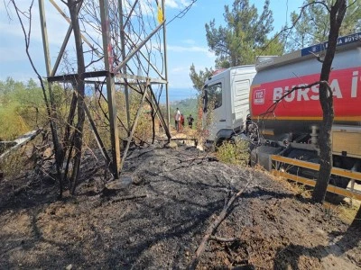 Mudanya'da &ccedil;ıkan yangında ormanlık ve zeytinlik alan zarar g&ouml;rd&uuml;