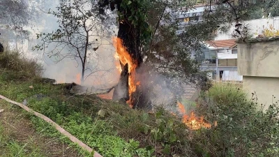 Mudanya'da yangın &ccedil;ıktı...