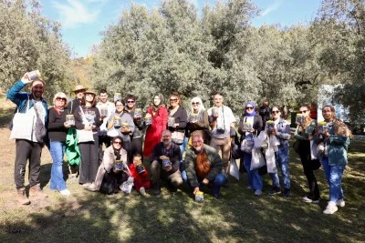 Mudanya'da zeytin hasadı başladı