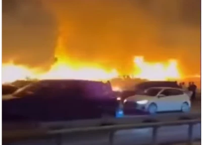 Mudanya Yolu'ndaki yangın s&ouml;nd&uuml;r&uuml;ld&uuml;. 