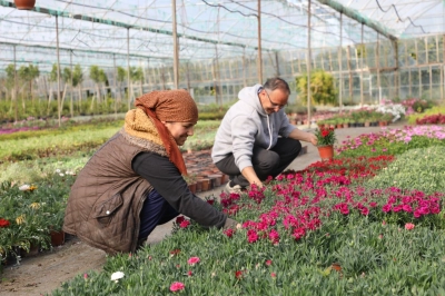 Muğla B&uuml;y&uuml;kşehir&rsquo;in &Uuml;retim Hamlesi Kadınlara Kazan&ccedil;, Belediyeye Tasarruf Getirdi