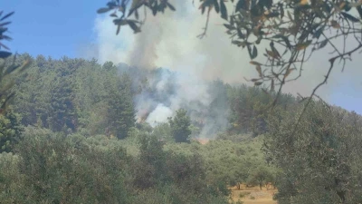 Muğla&rsquo;da orman yangını