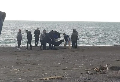 Muğla&rsquo;da sahilde erkek cesedi bulundu