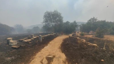 Muğla&rsquo;daki yangın Stratonikia Antik kentindeki zirai alanda etkili oluyor