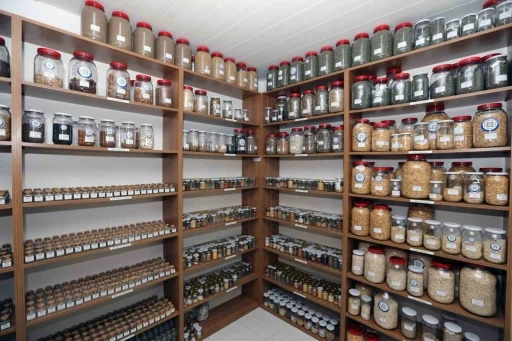 Muğla&rsquo;dan 81 İl&rsquo;e 2 milyon yerel tohum dağıtılacak
