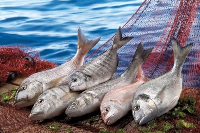 Muğla ihracatı Temmuz ayında y&uuml;zde 9 arttı