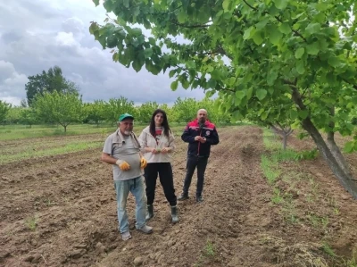 M&uuml;hendisler kayısı hastalıkları ve zararlılarına ilişkin g&ouml;zlemde bulundular
