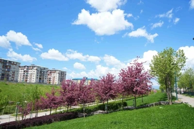 Muş&rsquo;ta &ccedil;i&ccedil;ek a&ccedil;an meyve ağa&ccedil;ları kartpostallık g&ouml;r&uuml;nt&uuml;ler oluşturdu
