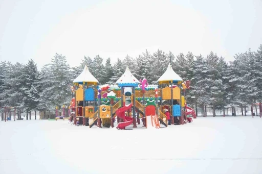 Muş&rsquo;ta kar yağışı: 15 k&ouml;y yolu ulaşıma kapandı