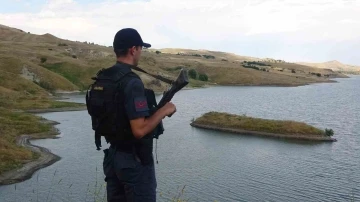 Muş&rsquo;ta tespit edilen nil&uuml;ferler koruma altına alınacak
