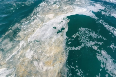M&uuml;silaj Oluşumları Yeniden Yoğunlaşıyor